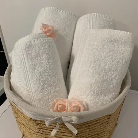 公寓 Le Cocon - Grande Terrasse - Calme - Proche Gare 南锡